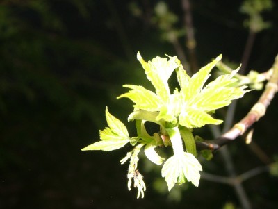 DSCF8236.JPG