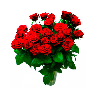 raudonos_rozes.jpg