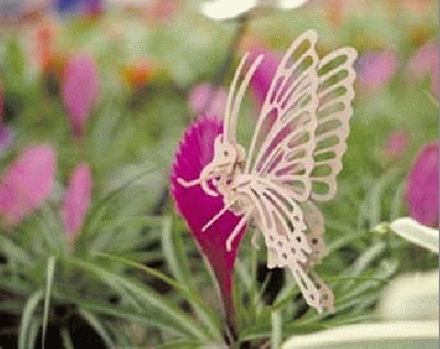 DIY-Toys-3D-Wooden-Puzzle-Butterfly-E022.jpg