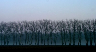 DSCF2652.JPG