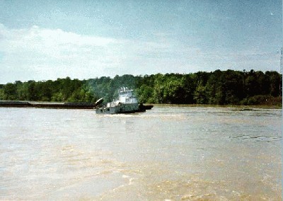 laivas_australija_15.jpg