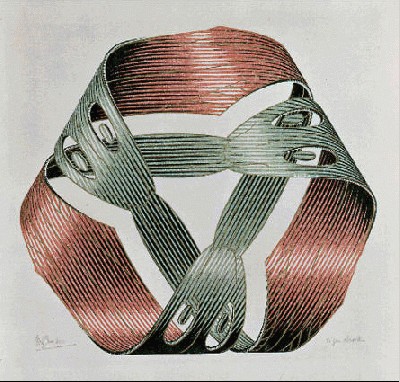 LW437.jpg