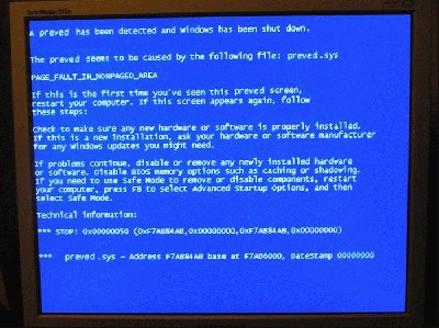 6174983.jpg