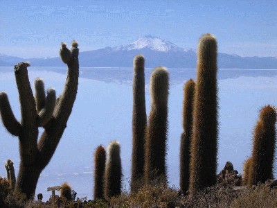 druskos_ezeras_bolivija_18.jpg