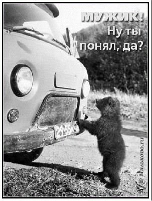 Preved_2-copy.jpg