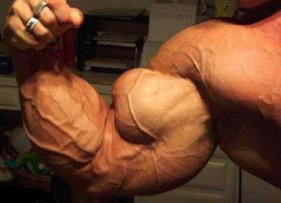 bicepsa.jpg