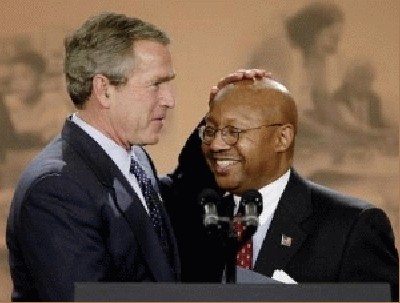 bald03.jpg