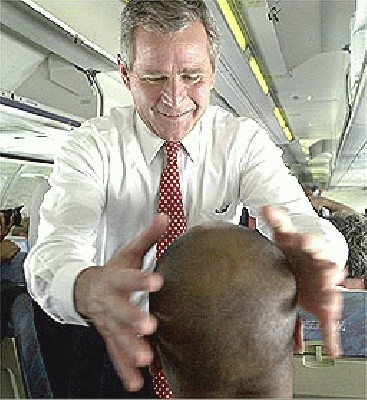 bald05.jpg