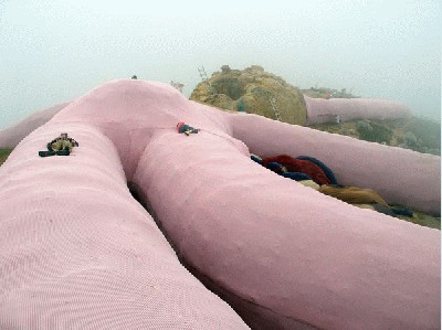rausvas_kiskis_monstras_03.jpg