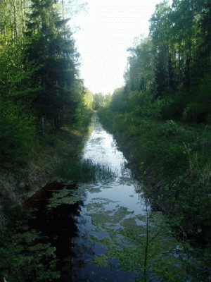 P1010514.JPG